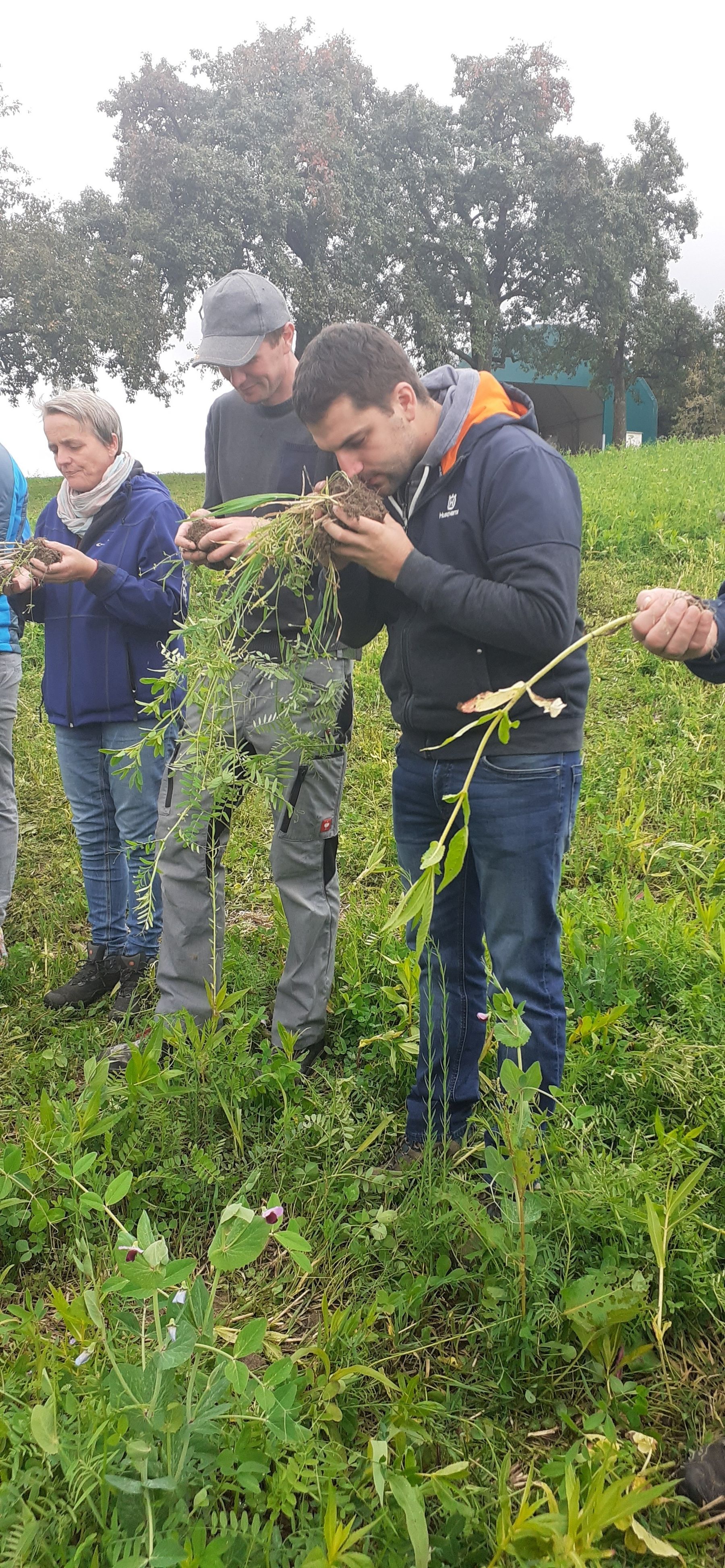 Olfaktorische Bestimmung des Bodens © BWSB/Gerstl