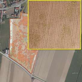 Drohnen zur Unkrautbekämpfung im Ackerbau Drohnen zur Unkrautbekämpfung im Ackerbau