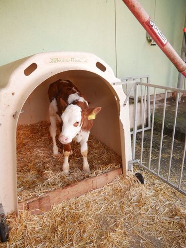 Woche der Landwirtschaft © LK-Stmk/Pichler