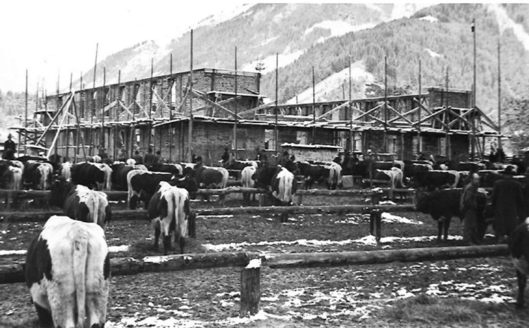 Maishofener Verbandsanlage feiert 70er.png © RZV Salzburg Maishofener Verbandsanlage feiert 70er.png © RZV Salzburg
