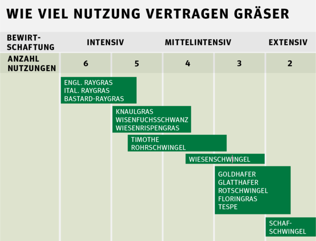 Trotz früher Mahd Gräser im Bestand halten.png