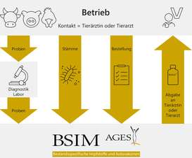 Maßgeschneiderte Impfstoffe durch AGES Maßgeschneiderte Impfstoffe durch AGES