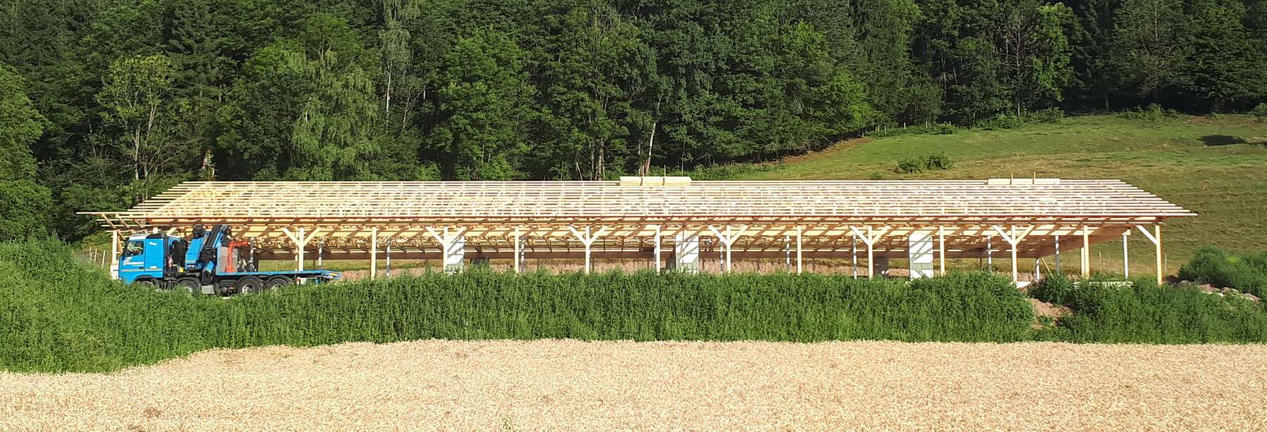 4_20180710_072347_Credit Fradler.jpg © LK Kärnten/Luzia Fradler 4_20180710_072347_Credit Fradler.jpg © LK Kärnten/Luzia Fradler