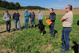 Tag der Bodenfruchtbarkeit - Feldbegehung .jpg © BBK Melk/Fitzthum Tag der Bodenfruchtbarkeit - Feldbegehung .jpg © BBK Melk/Fitzthum