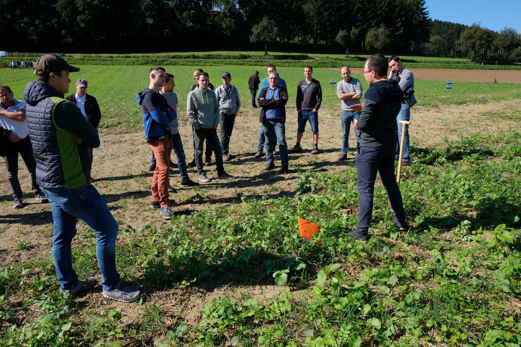 Tag der Bodenfruchtbarkeit - Feldbegehung .jpg © BBK Melk/Fitzthum Tag der Bodenfruchtbarkeit - Feldbegehung .jpg © BBK Melk/Fitzthum