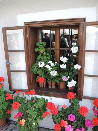Blumenfenster_WdLW.jpg © BBK Scheibbs