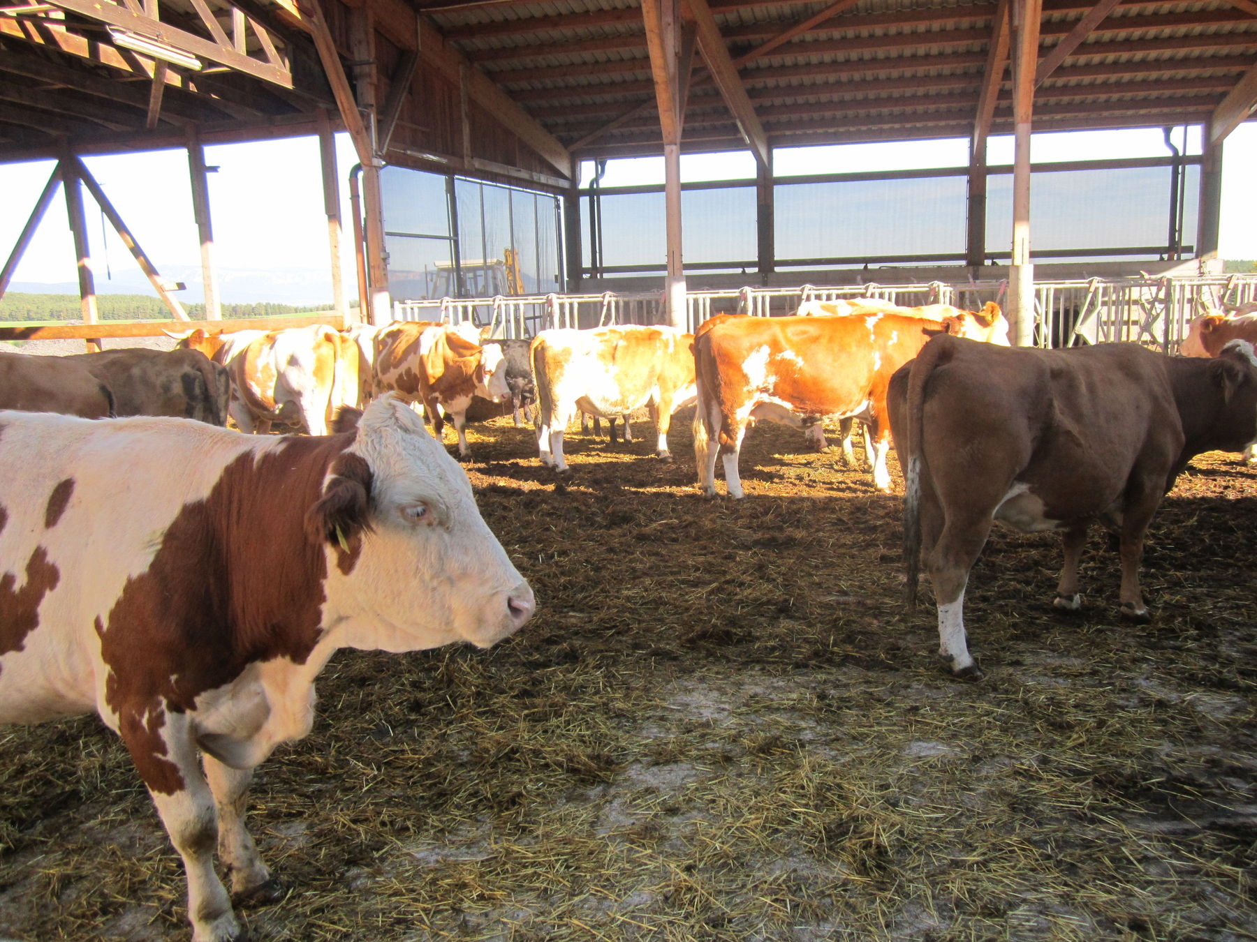 IMG_2013©DI Martin Weihs.jpg © BBK Neunkirchen/DI Martin Weihs IMG_2013©DI Martin Weihs.jpg © BBK Neunkirchen/DI Martin Weihs