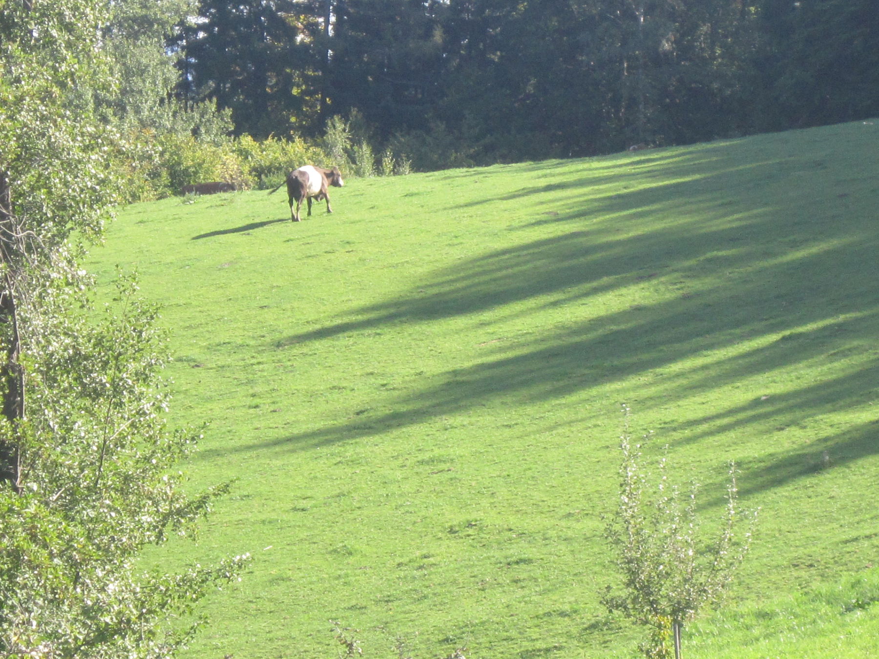 IMG_2035©DI Martin Weihs.jpg © BBK Neunkirchen/DI Martin Weihs IMG_2035©DI Martin Weihs.jpg © BBK Neunkirchen/DI Martin Weihs