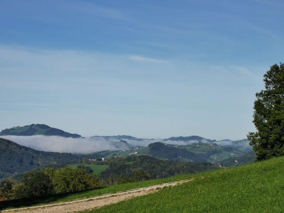 Grerstenberg2 WodLW BBK WY Gerlinde Schneckenleitner.jpg