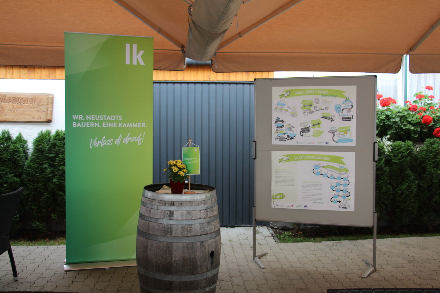 IMG_9354.jpg © BBK Wr. Neustadt/Ing. Monika Höller IMG_9354.jpg © BBK Wr. Neustadt/Ing. Monika Höller