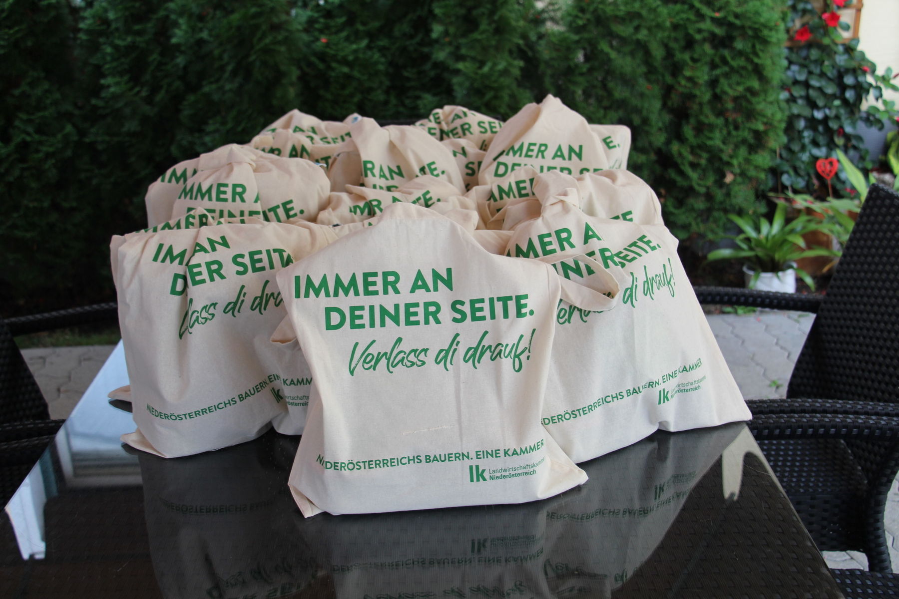 IMG_9355.jpg © BBK Wr. Neustadt/Ing. Monika Höller IMG_9355.jpg © BBK Wr. Neustadt/Ing. Monika Höller