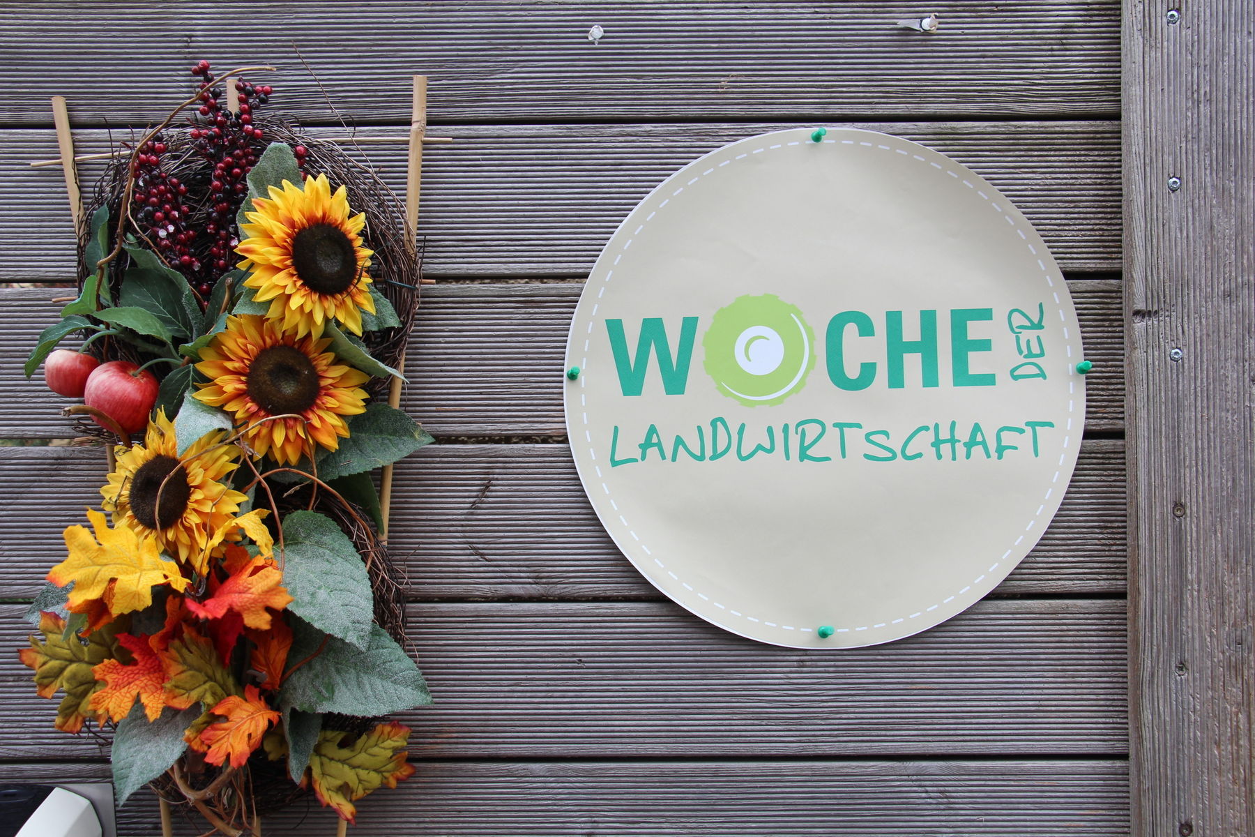 IMG_9357.jpg © BBK Wr. Neustadt/Ing. Monika Höller IMG_9357.jpg © BBK Wr. Neustadt/Ing. Monika Höller