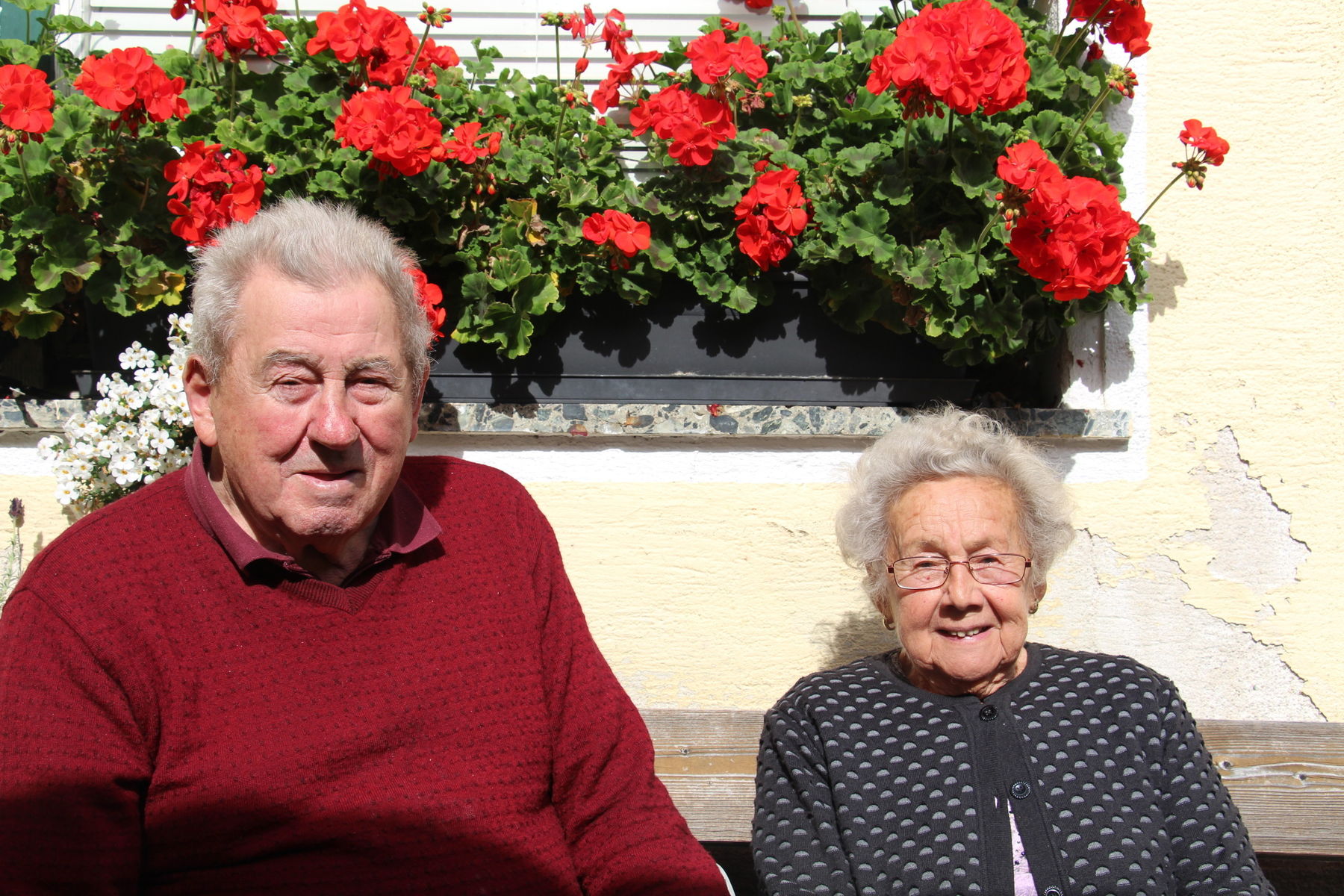 IMG_9396.jpg © BBK Wr. Neustadt/Ing. Monika Höller IMG_9396.jpg © BBK Wr. Neustadt/Ing. Monika Höller