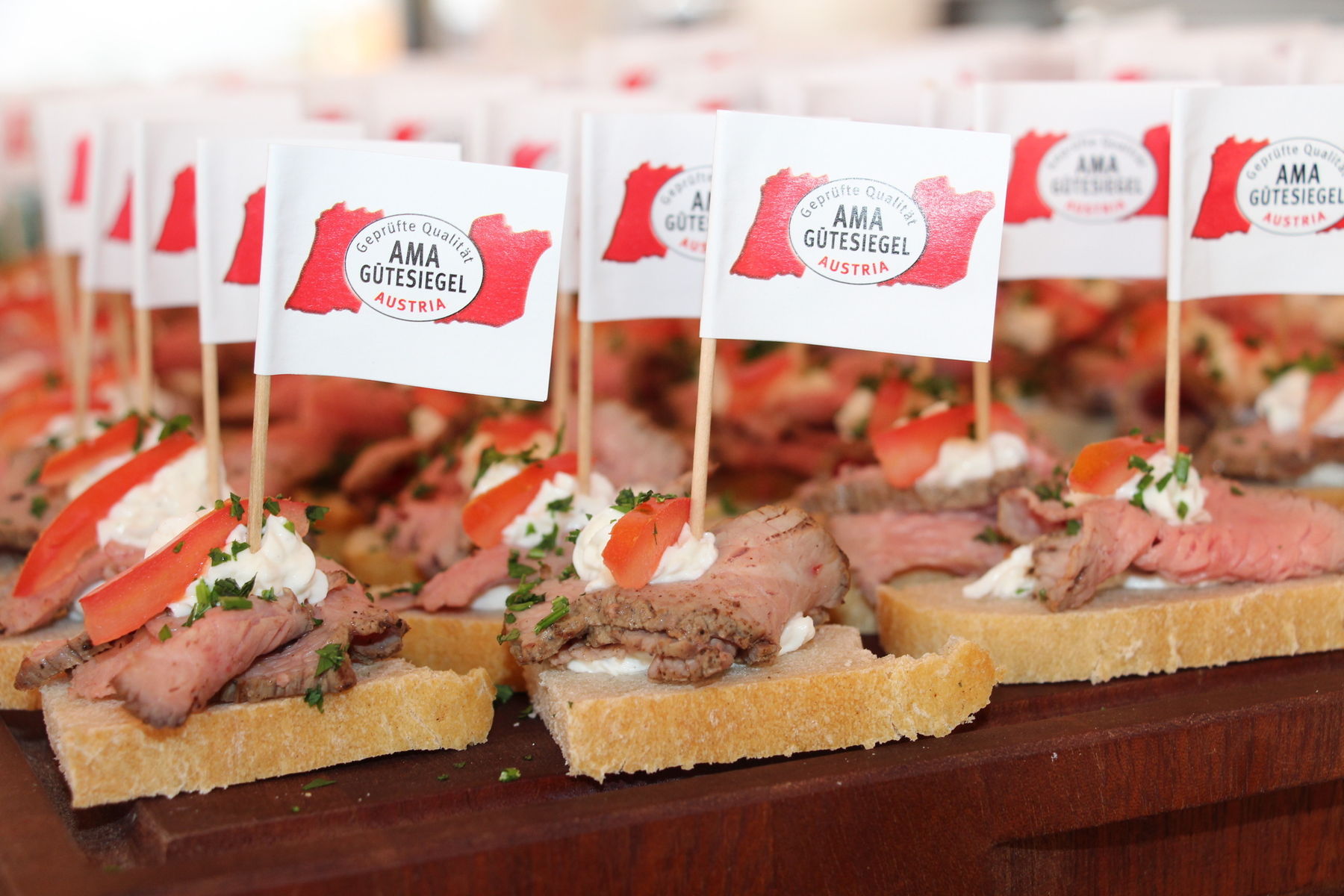 IMG_9421.jpg © BBK Wr. Neustadt/Ing. Monika Höller IMG_9421.jpg © BBK Wr. Neustadt/Ing. Monika Höller