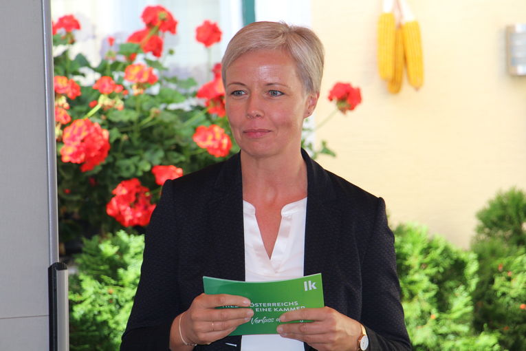 IMG_9435.jpg © BBK Wr. Neustadt/Ing. Monika Höller