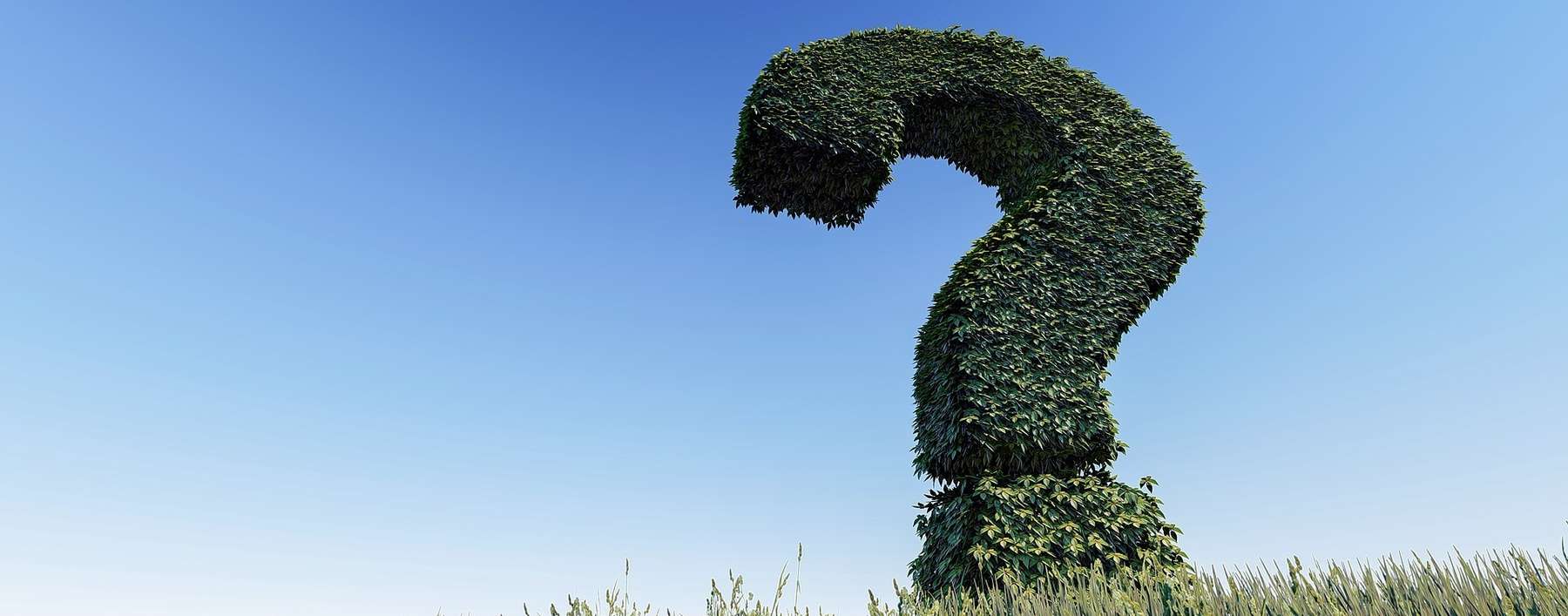 Fragen und Antworten rund um den Pflanzenschutz Schakundeausweis © pixabay.com Fragen und Antworten rund um den Pflanzenschutz Schakundeausweis © pixabay.com