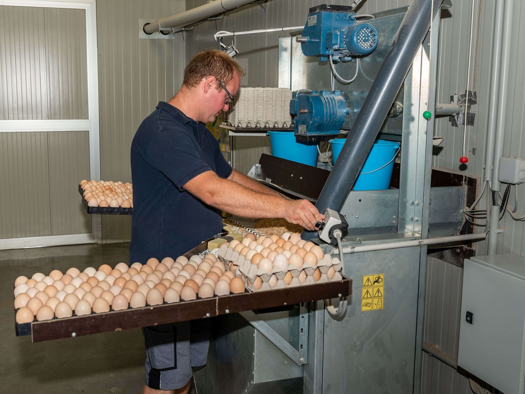 1_Eier.jpg © agrarfoto 1_Eier.jpg © agrarfoto