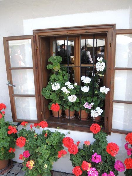 Blumenfenster WdLW.jpg Blumenfenster WdLW.jpg