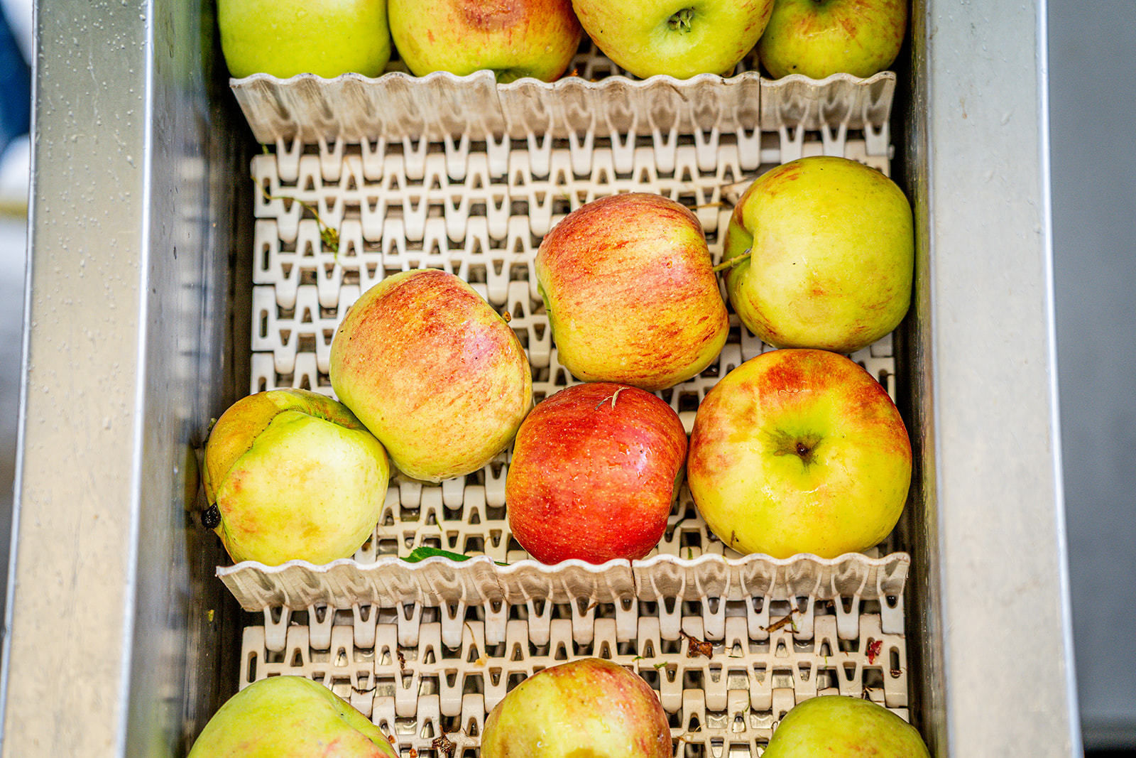 Apfelsaftaktion  Apfelsaft aus Apfel g´macht  der LK NÖ.jpg © Georg Pomassl/LK Niederösterreich Apfelsaftaktion  Apfelsaft aus Apfel g´macht  der LK NÖ.jpg © Georg Pomassl/LK Niederösterreich