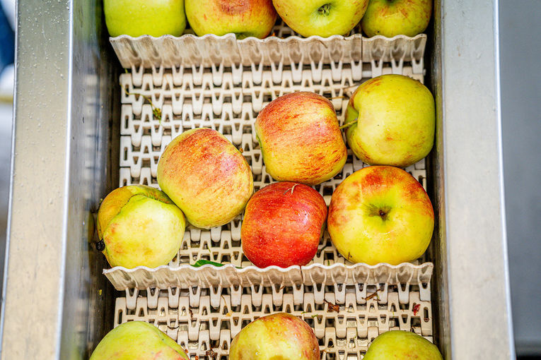 Apfelsaftaktion  Apfelsaft aus Apfel g´macht  der LK NÖ.jpg © Georg Pomassl/LK Niederösterreich