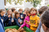 Apfelsaftaktion "Apfelsaft aus Apfel g´macht" der LK NÖ.jpg