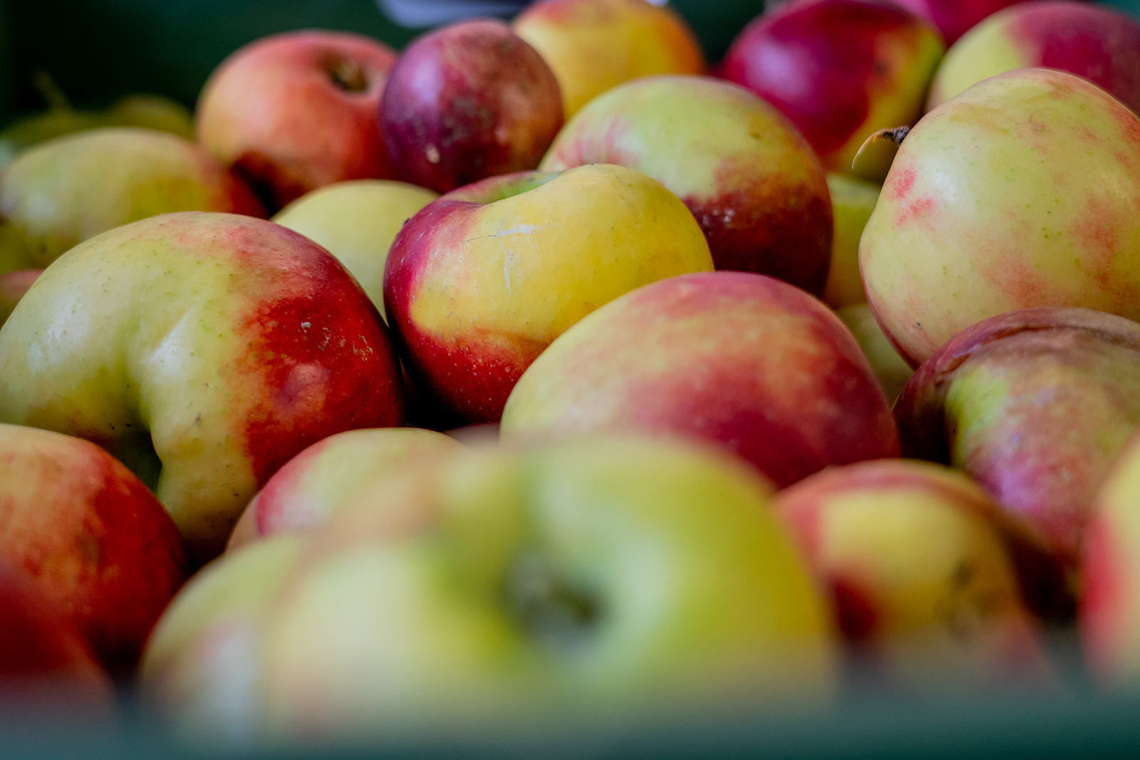 Apfelsaftaktion  Apfelsaft aus Apfel g´macht  der LK NÖ.jpg © Georg Pomassl/LK Niederösterreich Apfelsaftaktion  Apfelsaft aus Apfel g´macht  der LK NÖ.jpg © Georg Pomassl/LK Niederösterreich