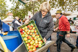 Apfelsaftaktion  Apfelsaft aus Apfel g´macht  der LK NÖ.jpg © Georg Pomassl/LK Niederösterreich