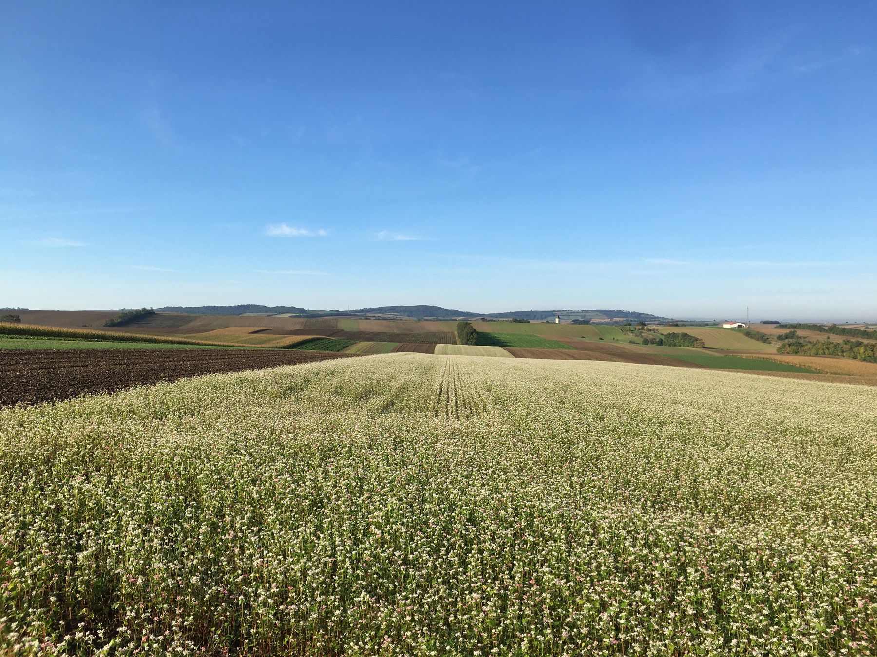 © Andrea Uhl LK NÖ © Andrea Uhl LK NÖ