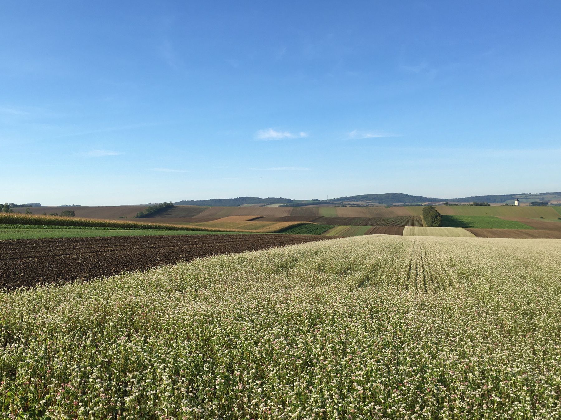 © Andrea Uhl LK NÖ © Andrea Uhl LK NÖ