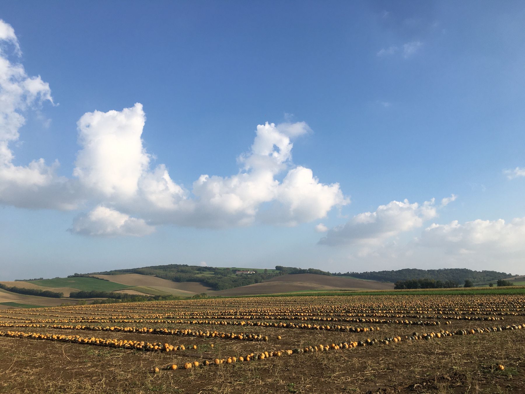 © Andrea Uhl LK NÖ © Andrea Uhl LK NÖ