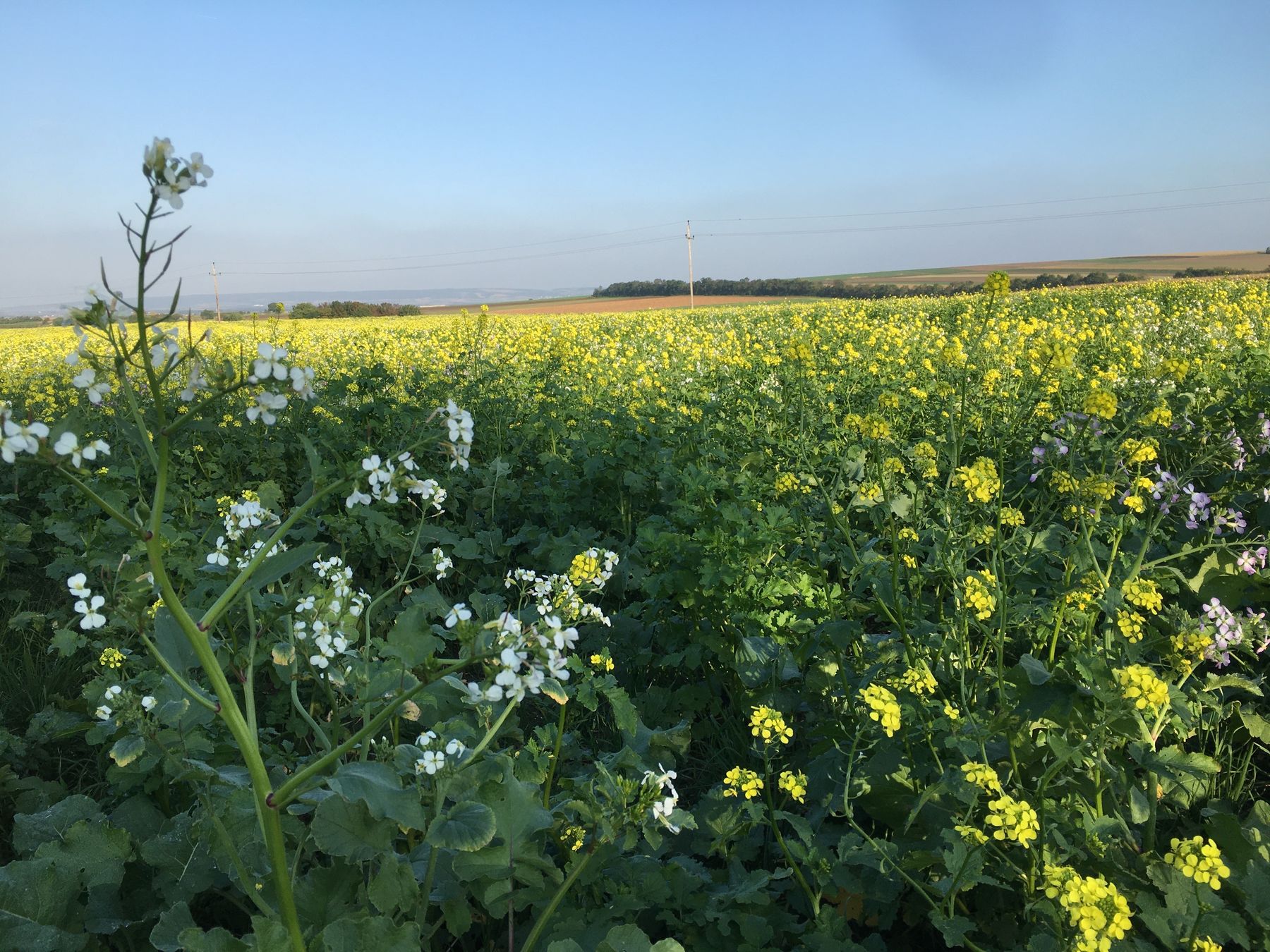 © Andrea Uhl LK NÖ © Andrea Uhl LK NÖ