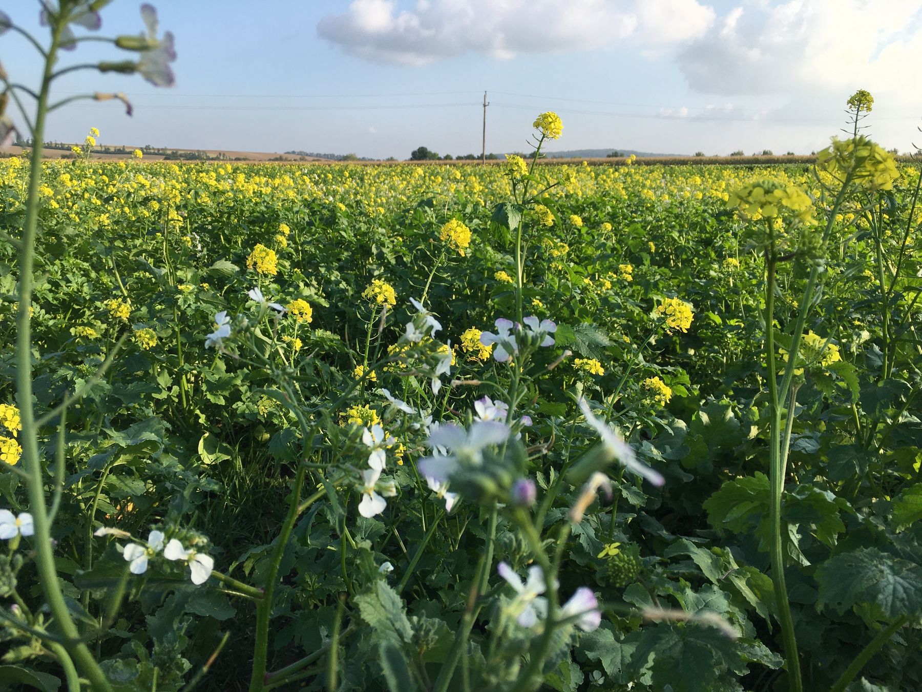 © Andrea Uhl LK NÖ © Andrea Uhl LK NÖ