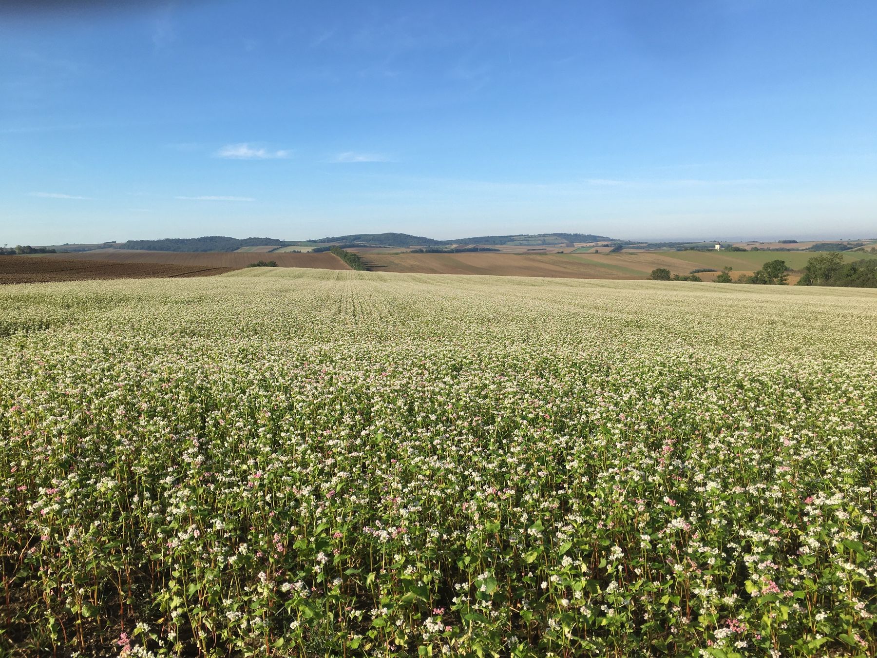 © Andrea Uhl LK NÖ © Andrea Uhl LK NÖ