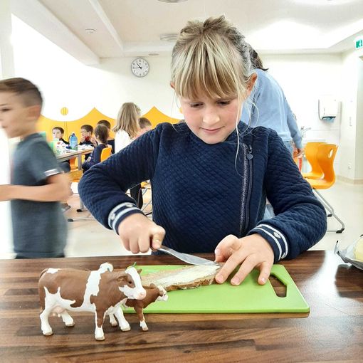 Milchlehrpfad in Annaberg.jpg © Archiv Milchlehrpfad in Annaberg.jpg © Archiv