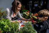 Abschlussfest  Vielfalt Landwirtschaft erleben .jpg © Doris Wild