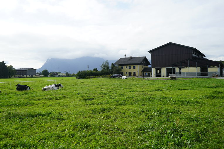 Stoibergut.jpg © LK Salzburg, Mösenbichler Stoibergut.jpg © LK Salzburg, Mösenbichler