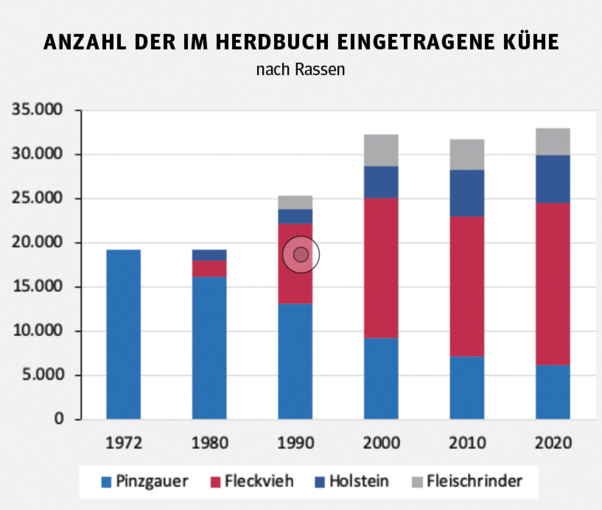 In Salzburgs Ställen wurde es endlich bunt.png