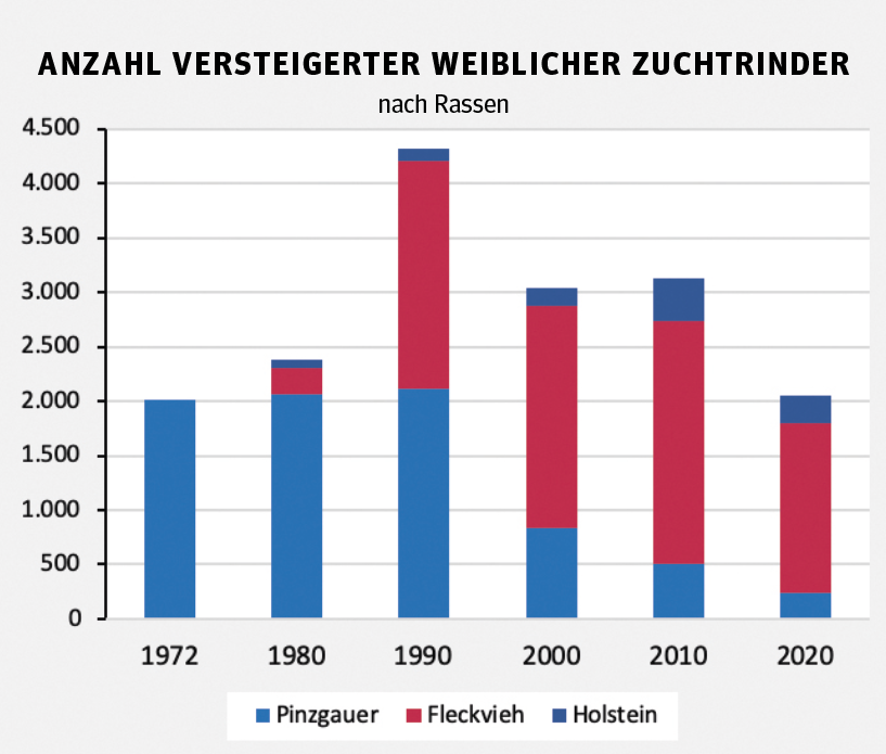 In Salzburgs Ställen wurde es endlich bunt.png