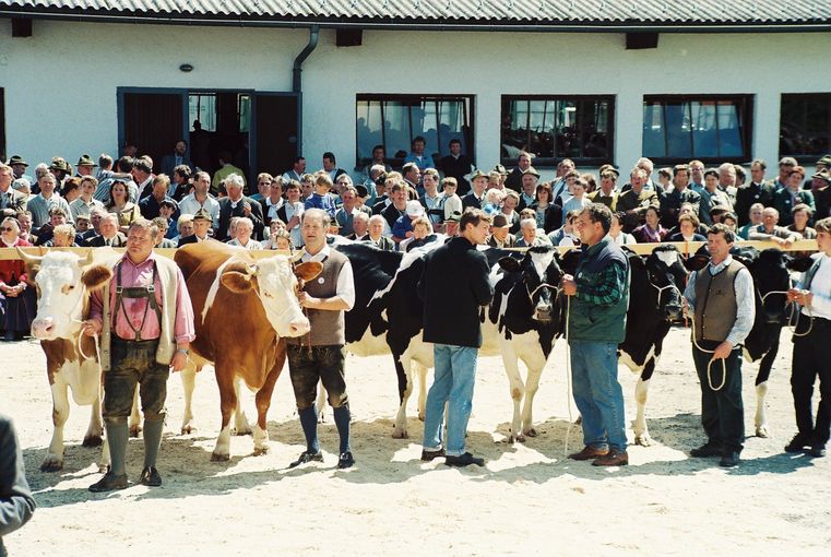 In Salzburgs Ställen wurde es endlich bunt.jpg © RZV Salzburg In Salzburgs Ställen wurde es endlich bunt.jpg © RZV Salzburg