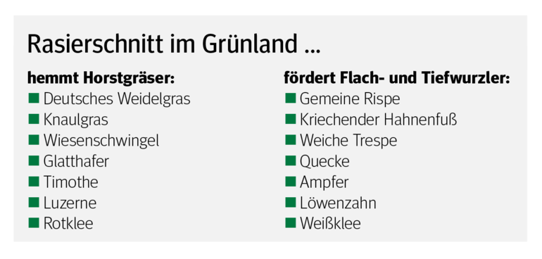 Bewirtschaftung mit Feingefühl lohnt sich.png © Dürnberger Bewirtschaftung mit Feingefühl lohnt sich.png © Dürnberger