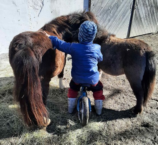 Mein Bild 2021.jpg © Salzburger Bauer/Mühllehenhof Mein Bild 2021.jpg © Salzburger Bauer/Mühllehenhof