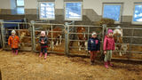 Mein Bild 2021.jpg © Salzburger Bauer/Oberascherhof Mein Bild 2021.jpg © Salzburger Bauer/Oberascherhof