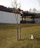 Mein Bild 2021.jpg © Salzburger Bauer/Mackinger Mein Bild 2021.jpg © Salzburger Bauer/Mackinger