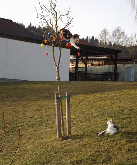 Mein Bild 2021.jpg © Salzburger Bauer/Mackinger Mein Bild 2021.jpg © Salzburger Bauer/Mackinger