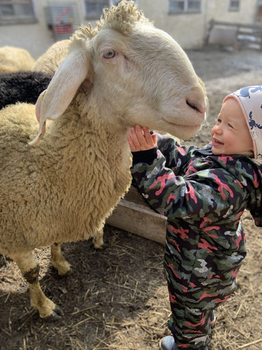 Mein Bild 2021.jpg © Salzburger Bauer/Rabe Mein Bild 2021.jpg © Salzburger Bauer/Rabe