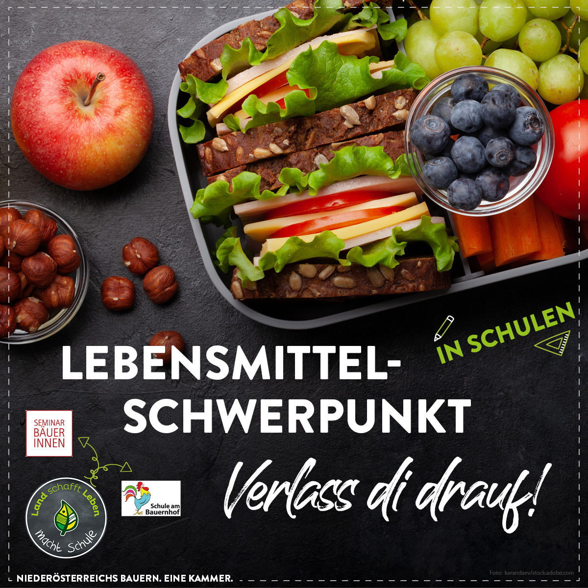 Lebensmittelschwerpunkt an Österreichs Schulen © Marlene Weitzenböck/LK Niederösterreich Lebensmittelschwerpunkt an Österreichs Schulen © Marlene Weitzenböck/LK Niederösterreich