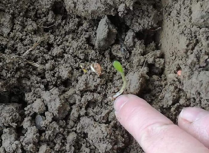 [1634199482790492_1.jpg]