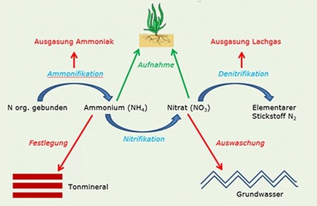 [1634199561931221_7.jpg]