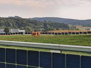 Agrarphotovoltaik mit Doppelnutzen © Landwirtschaftskammer Steiermark / Roman Musch