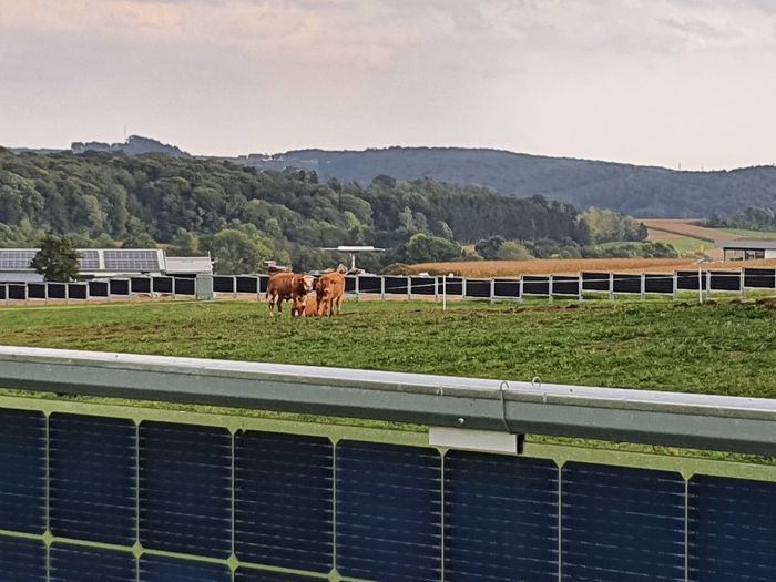 [1634204515764884_1.jpg]